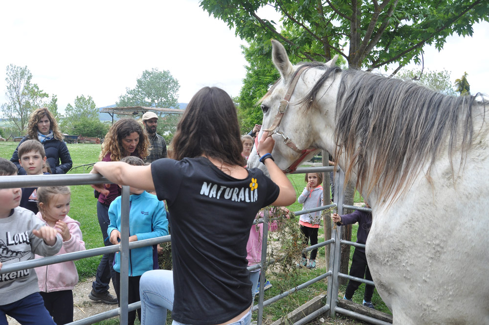 Actividades8 Actividades - Granja Escuela Naturalia