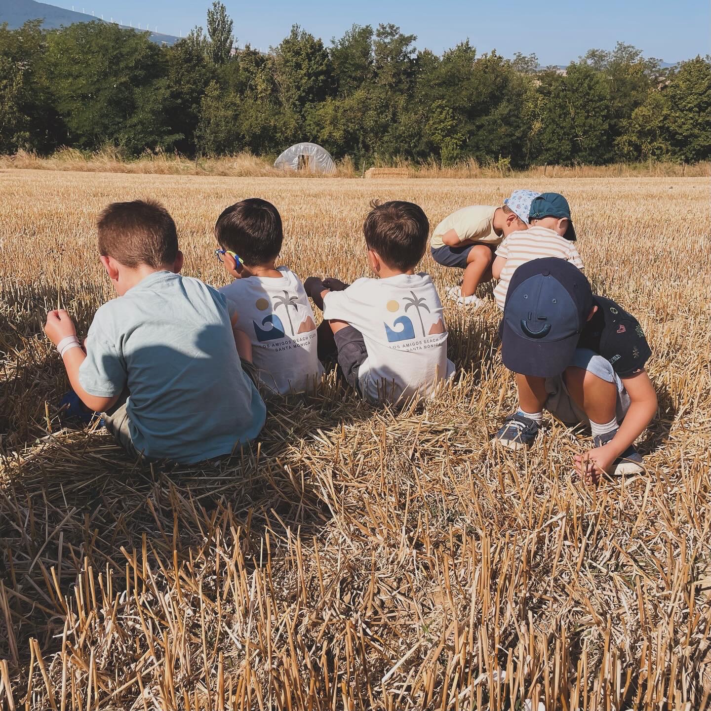 actividades-extraescolares-naturaleza-ninos-granja-naturalia-esquiroz Niños participando en actividades extraescolares al aire libre en la granja escuela Naturalia de Esquíroz, en un entorno natural y educativo