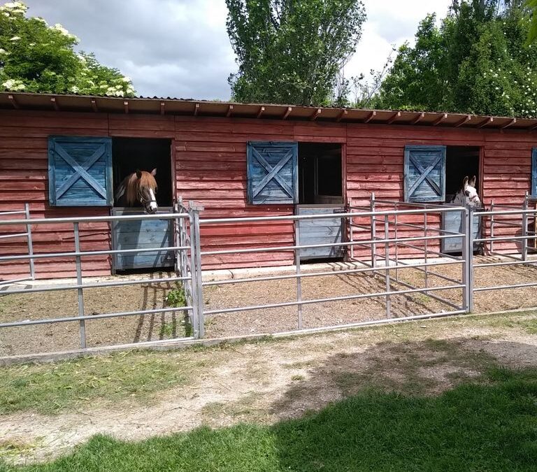 La cuadra - granja escuela naturalia