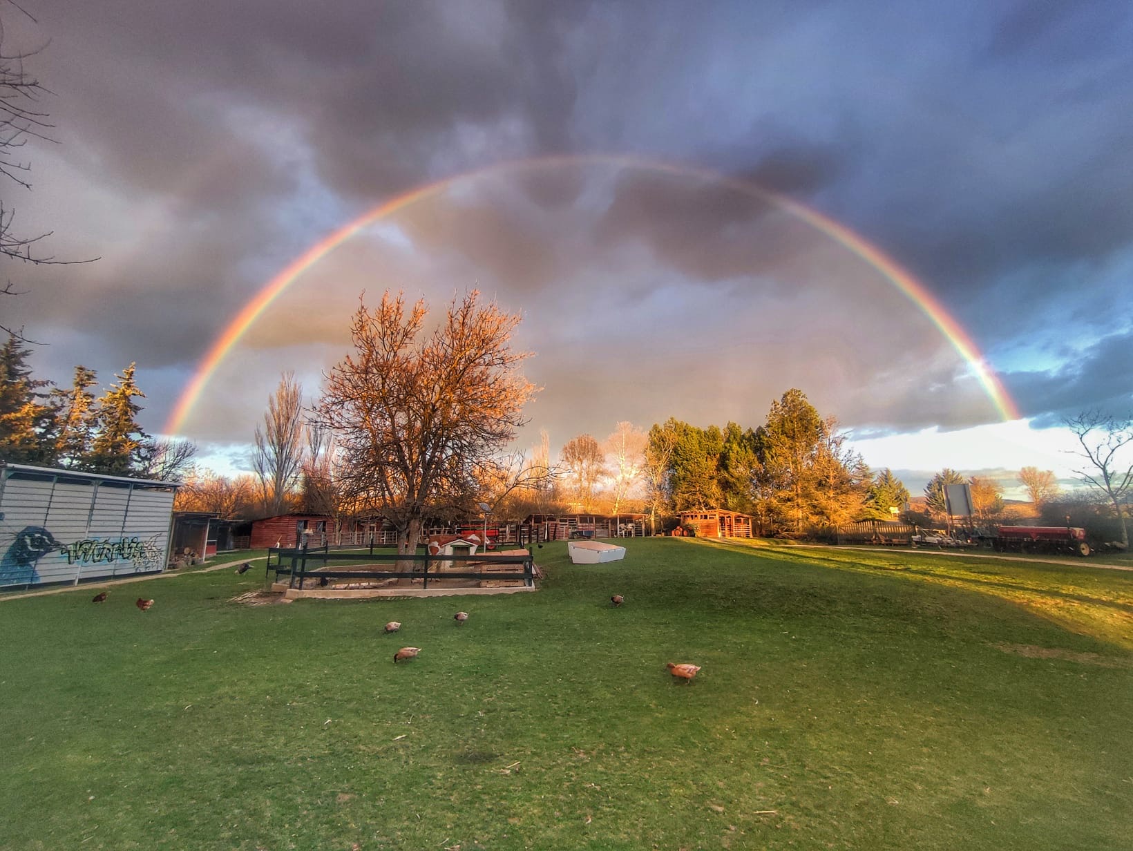 paisaje-granja-naturalia-esquiroz-arcoiris vista panorámica de la granja escuela Naturalia de Esquíroz con arco iris sobre el campo y animales al fondo