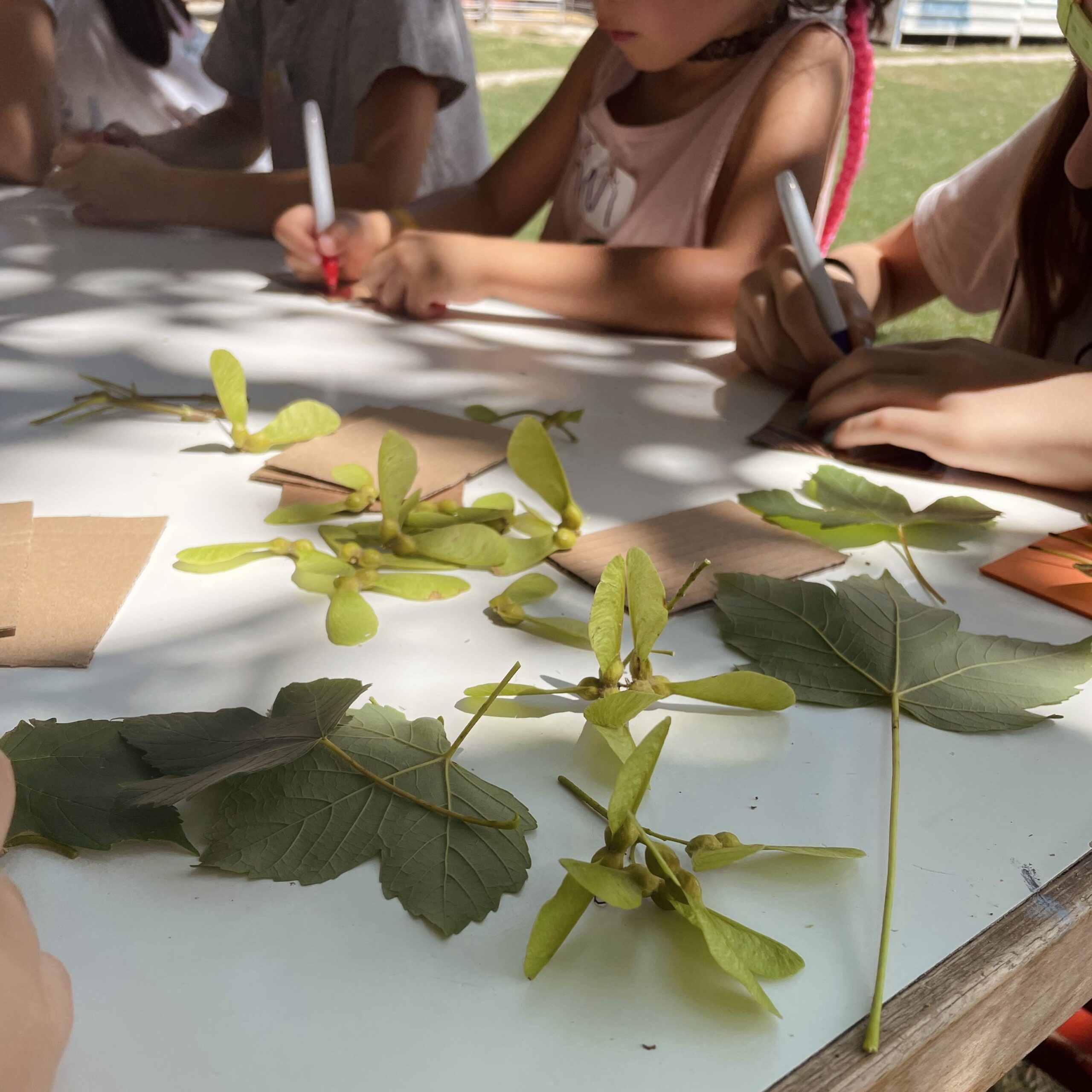 taller-naturaleza-hojas-actividades-extraescolares-granja-naturalia Niños realizando un taller con hojas naturales durante una actividad extraescolar en la granja escuela Naturalia de Esquíroz