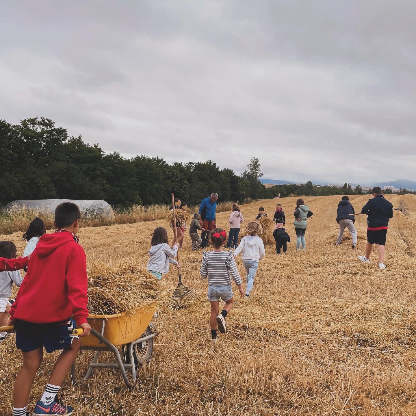 tareas-agricolas-infantiles-extraescolares-granja-naturalia-esquiroz Niños realizando tareas agrícolas y transporte de paja durante una actividad extraescolar en la granja escuela Naturalia de Esquíroz