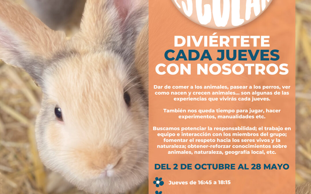 ABIERTAS LAS INSCRIPCIONES PARA LA EXTRAESCOLAR