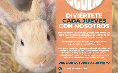 ABIERTAS LAS INSCRIPCIONES PARA LA EXTRAESCOLAR