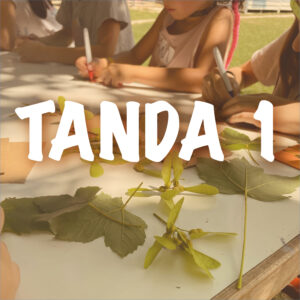 Campamento tanda 1: del 22 al 26 de junio